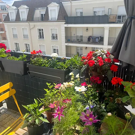 Flat Apartament